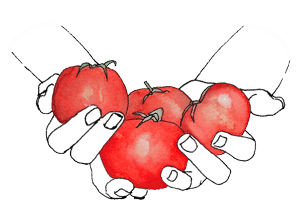 Hand_Tomaten