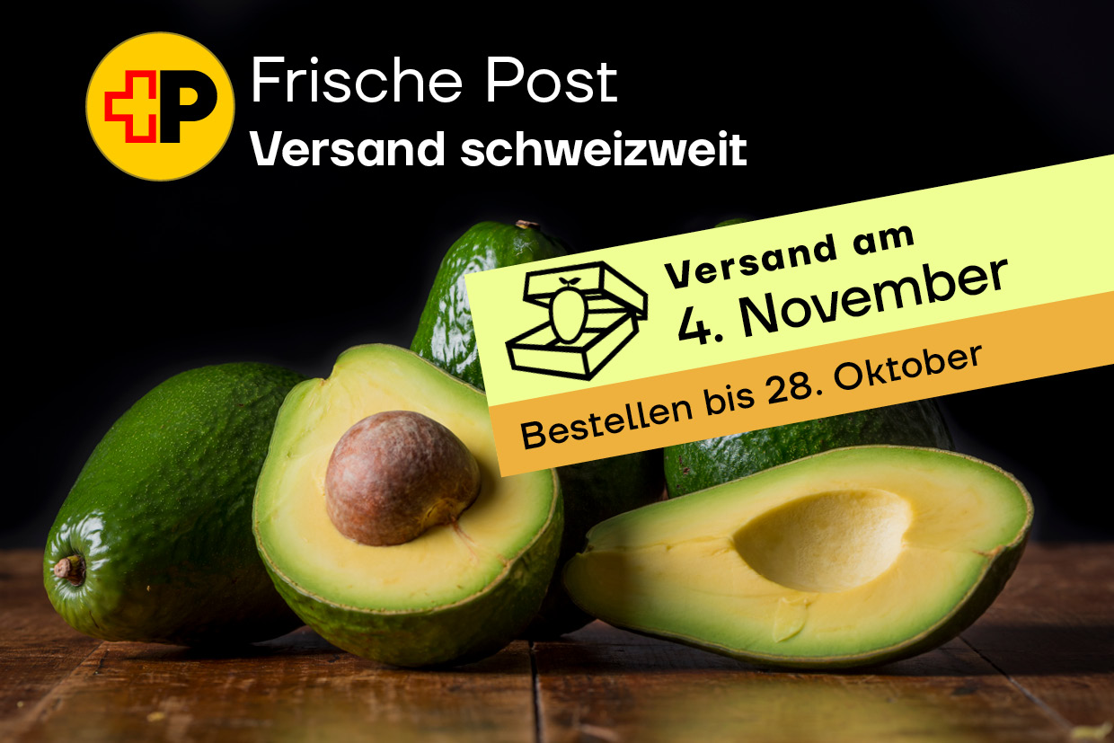 Frische Post - Avocado «Maluma»<br>4kg pro Kiste<br>