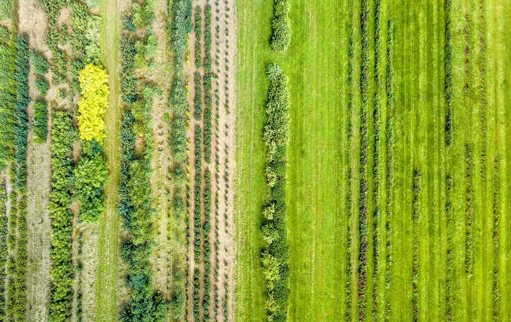 Permakultur Crowd Container Impact Jahresbericht 2021