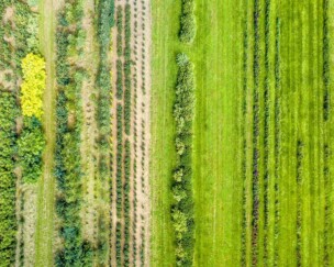 Foto von Unsere Wirkung 2021