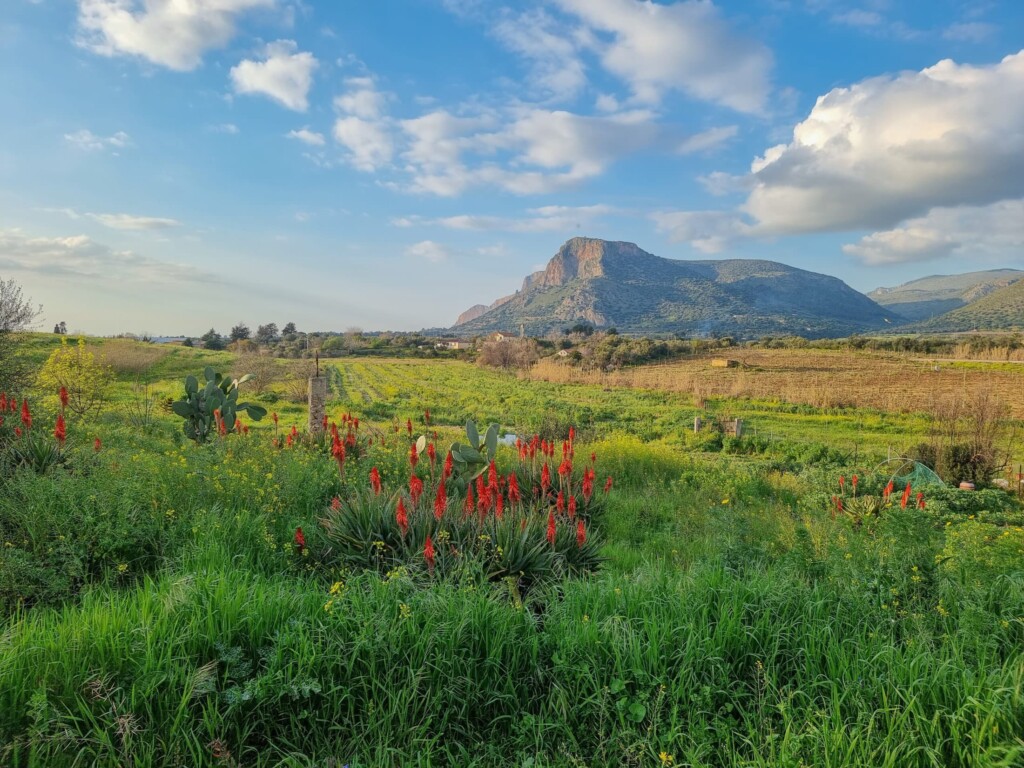 Food Forest auf Sizilien