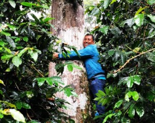 Foto von Ist dieser Kaffee Bio? Was es zu beachten gilt & wie man das komplexe Thema angeht