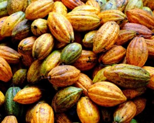 Foto von Ein unerwartetes Paket