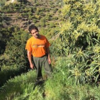 Foto von Carlos Márquez