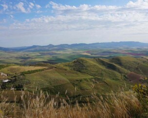 Foto von Zu Besuch bei den Wächtern  des Timilia-Korns