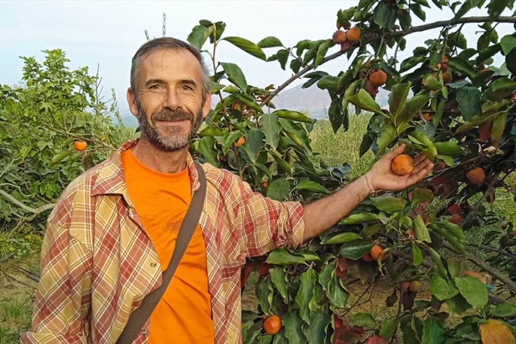 Crowd-Container_Andalusien_Bio-Produzent_Manolo-Jimenez-Perez