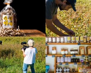 Foto von Buchweizen als Schlüssel der Biodiversität