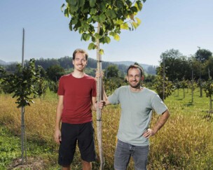 Foto von Schweizer Haselnüsse im Aufwind: