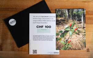 Gutschein à CHF 100