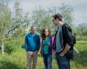 Foto von Nur wenn der Boden gesund ist, können wir hochwertiges Olivenöl herstellen
