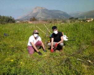 Foto von Austausch zum Food Forest: Die ersten Bäume sind da
