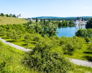 Foto von Gut gemacht, Gut Rheinau!