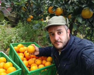 Foto von Crowdfarming – Was steckt hinter dieser revolutionären Lebensmittelversorgungskette?