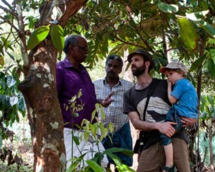 Diversität auf den Feldern in Indien