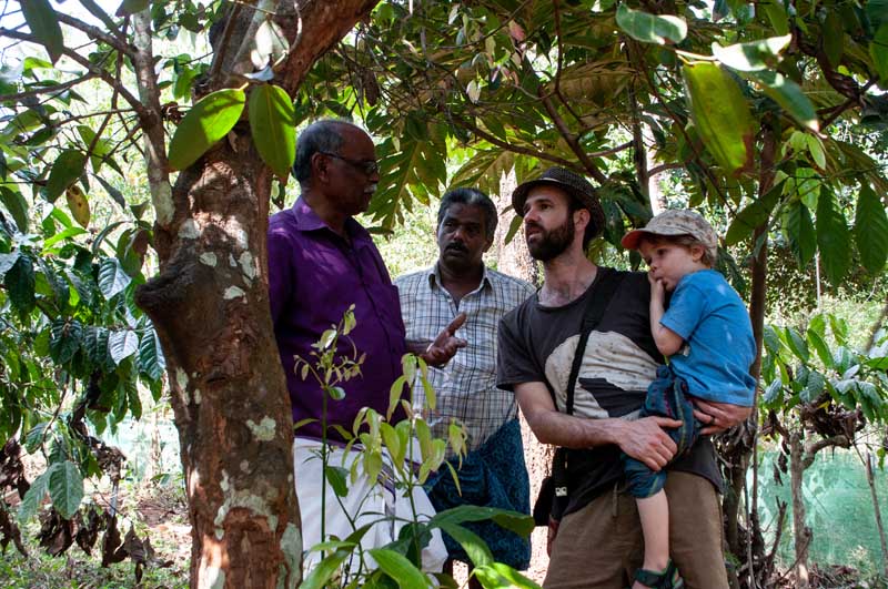 Diversität auf den Feldern in Indien
