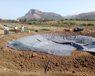 Foto von Wasser in der sizilianischen Sommerhitze – Aktuelles aus dem Food Forest