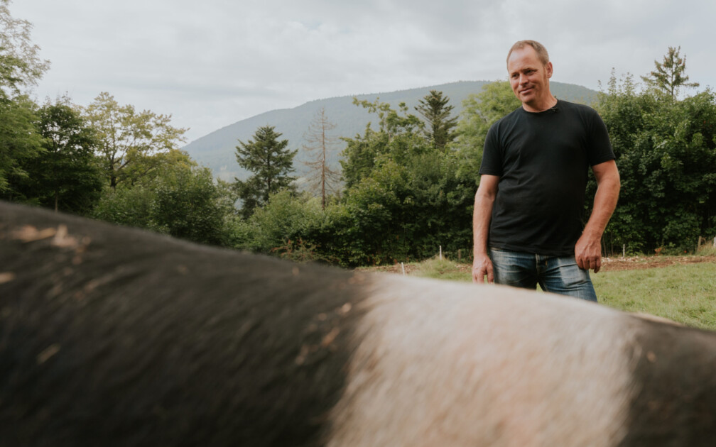 ch_Silberdistel-0027