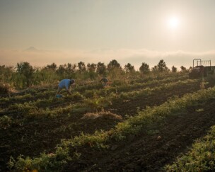 Foto von Valdibella: Landwirtschaft gegen die Mafia und für die Zukunft