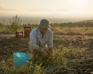 Foto von Experiment Tomaten-Passata