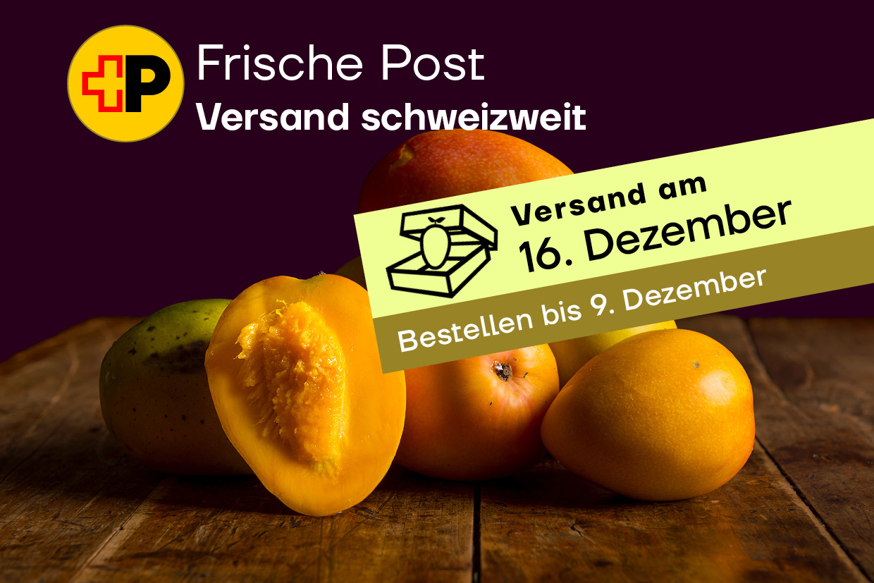 Frische Post -<br> Mango «Keitt» 4kg<br>