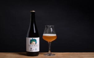 Sauerbier «Brett Saison» mit Artemisia