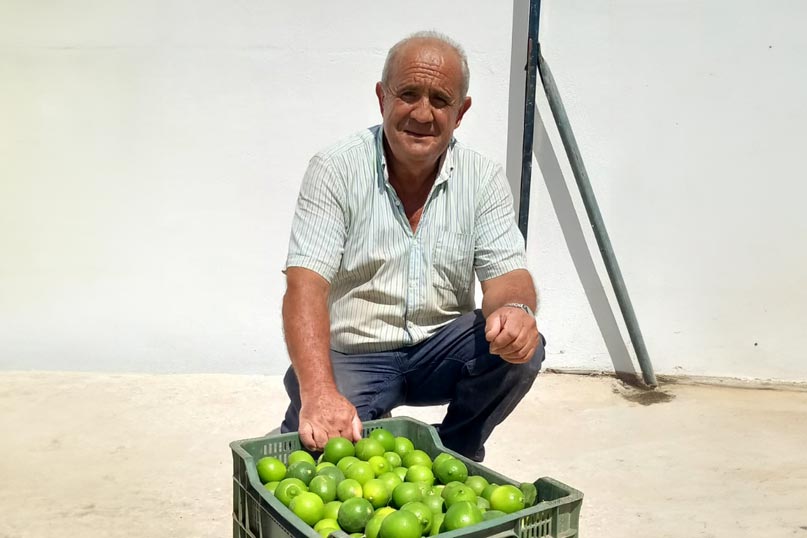 CrowdContainer-Andalusien-Limette-Paco-Moreno