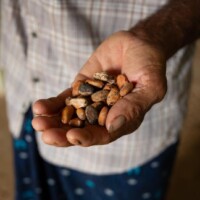 Foto von Garçoa, Fair Trade Alliance Kerala (FTAK)