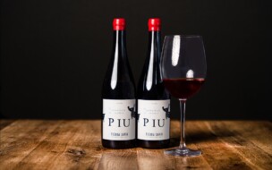 «PIU Ánfora Tinto»