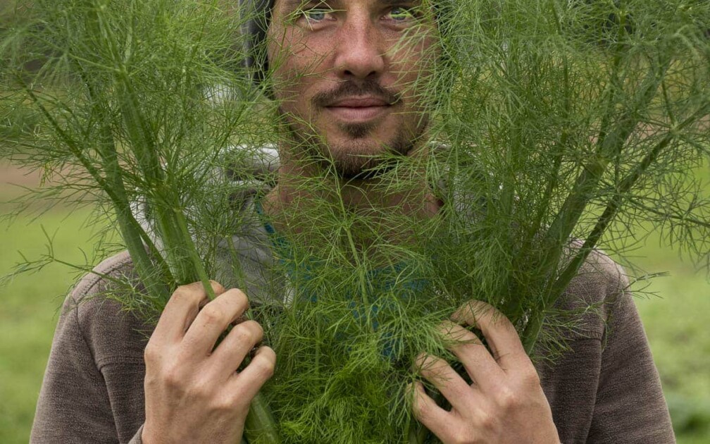 SlowGrow_Mönchaltdorf_Bio_Betrieb_0006