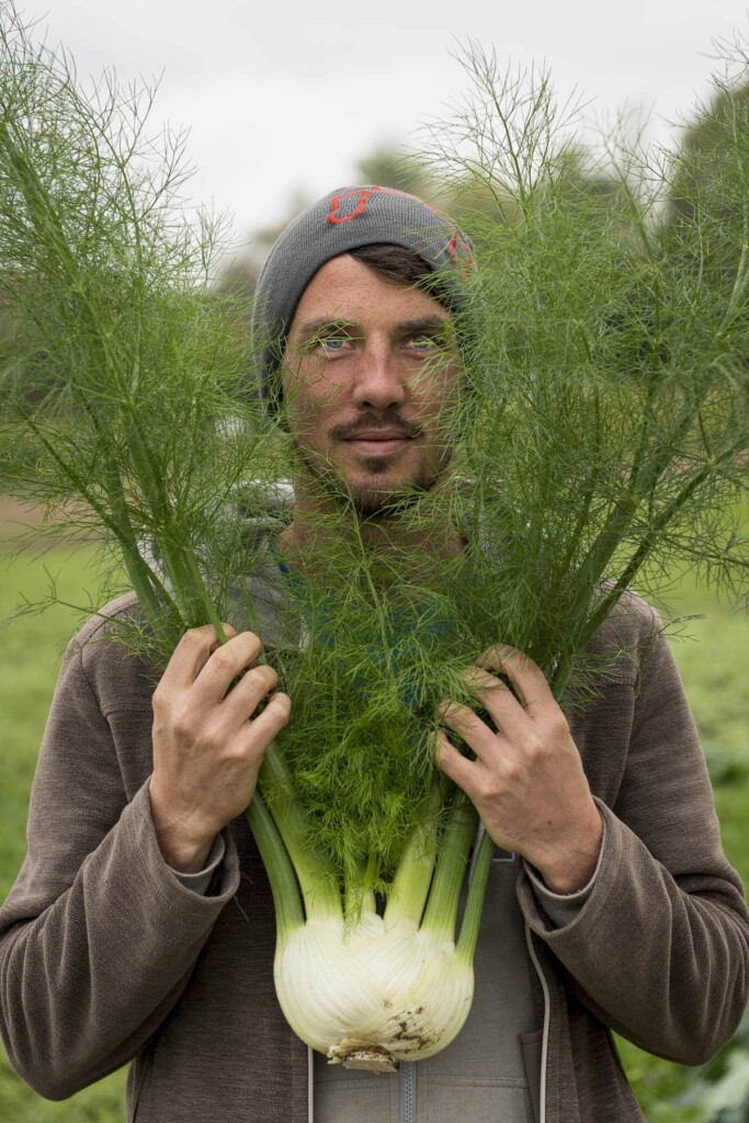 SlowGrow