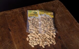 «Tuono» Salzmandeln geröstet