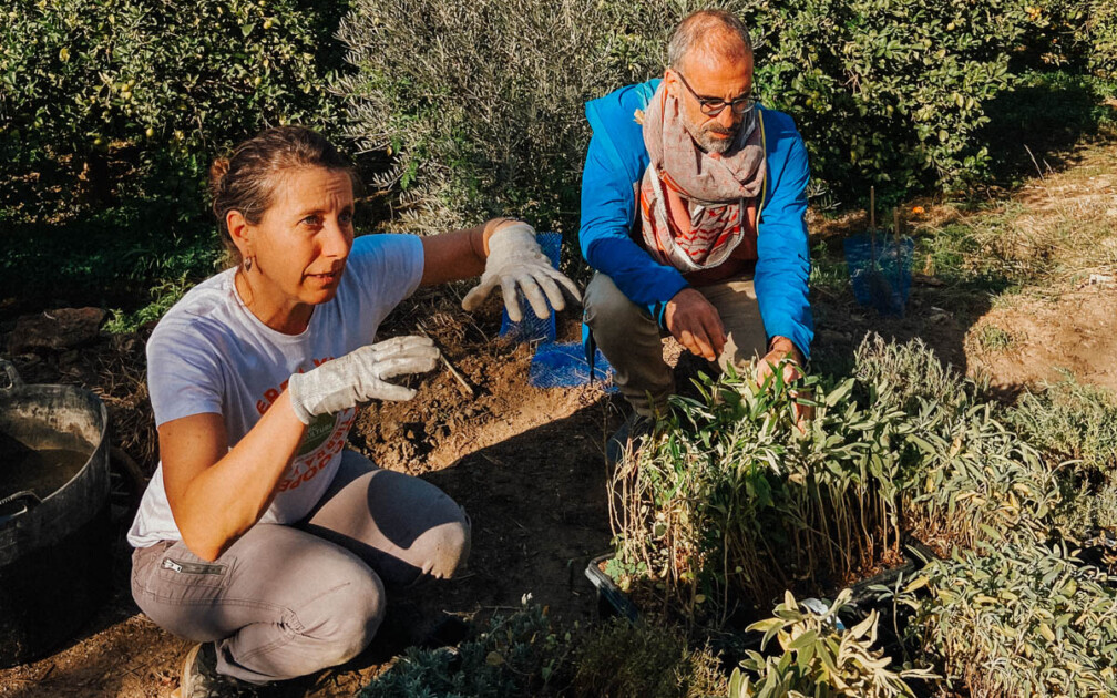 Crowdcontainer_Tyl_biodiversitatsprojekt-0013-Produktfotos-2