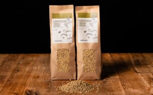 «Piccole Verdi» Linsen