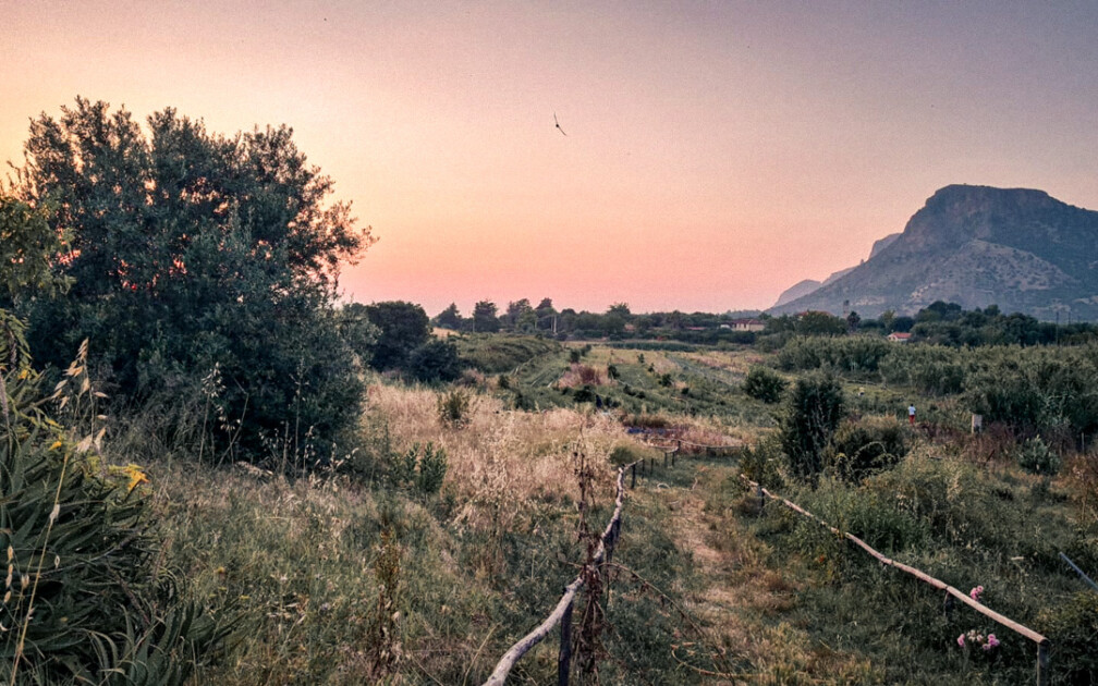 Crowdcontainer_WhatsApp-Image-2026-02-01-at-16.06.06-2