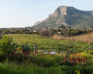 Foto von Gemeinsam gewachsen – Erste Food Forest Produkte sind verfügbar