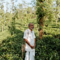 Foto von Wayanad Green Tea Producer Company