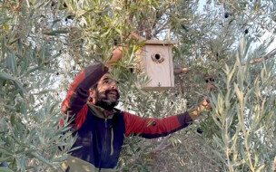 Wo ist der Folientunnel? Auch so kann Landwirtschaft in Andalusien aussehen! Tierra y Libertad und Guadalhorce Ecológico schaffen auf ihren Höfen attraktive Lebensräume für Tiere, Pflanzen und Menschen.