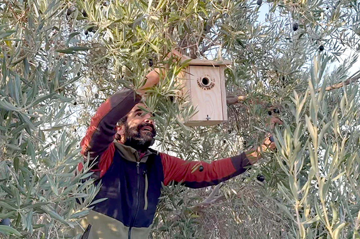 Wo ist der Folientunnel? Auch so kann Landwirtschaft in Andalusien aussehen! Tierra y Libertad und Guadalhorce Ecológico schaffen auf ihren Höfen attraktive Lebensräume für Tiere, Pflanzen und Menschen.