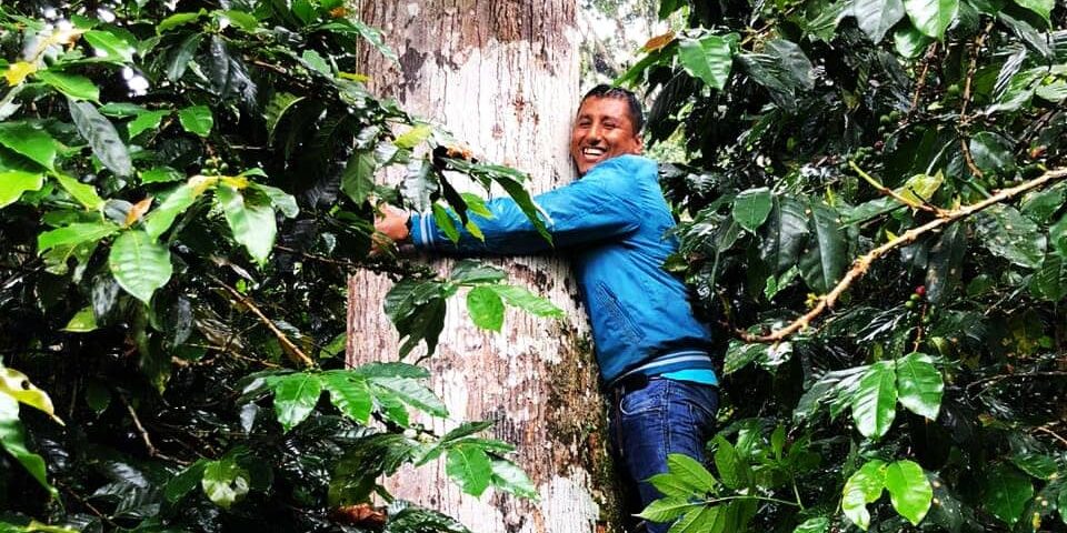 Erick von der Kaffee-Kooperative CAFHU im peruanischen Regenwald.