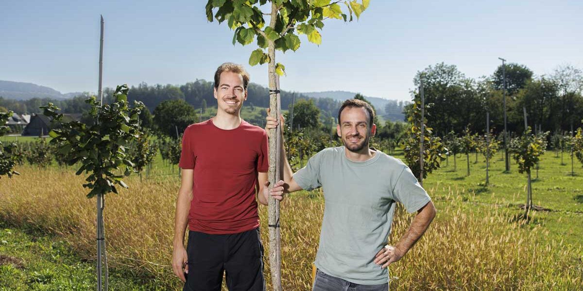 CrowdContainer_Bio-Haselnuesse_Beni_and_Stefan CrowdContainer_Bio-Haselnuesse_Beni_and_Stefan