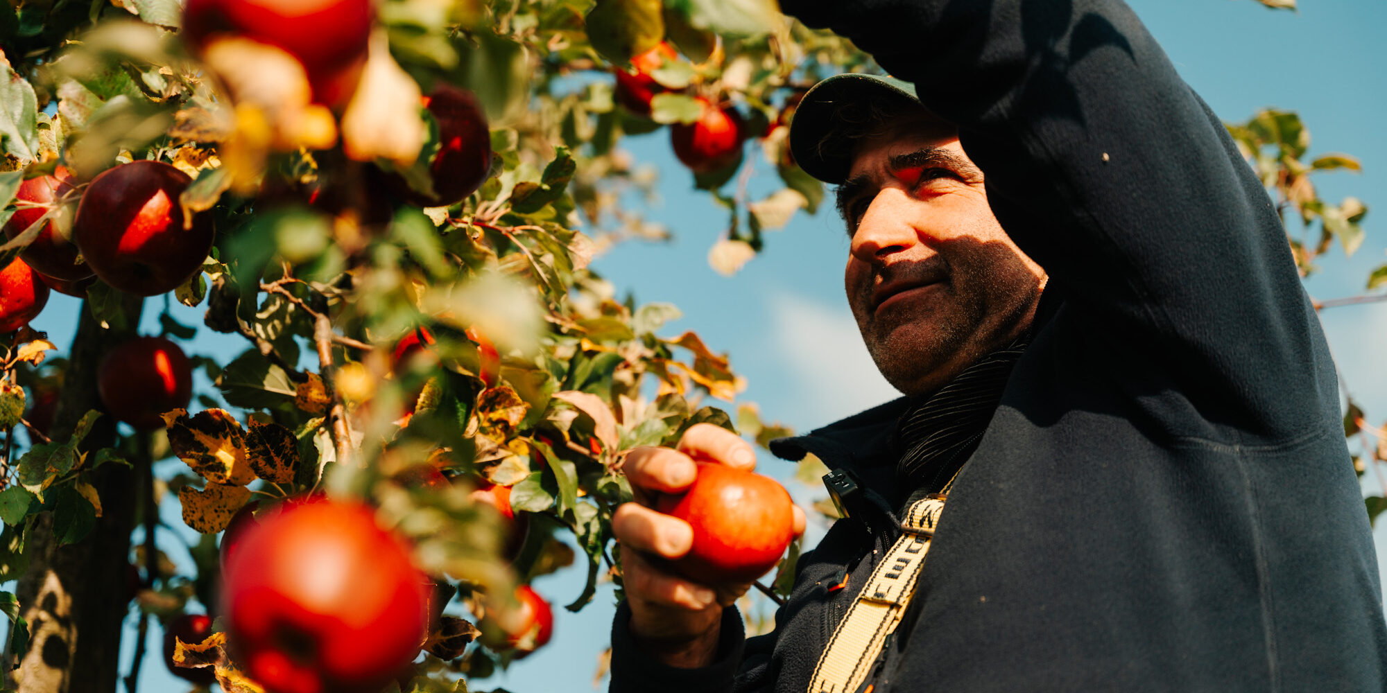 Crowdcontainer_Mausacker_Most_Cidre-0033
