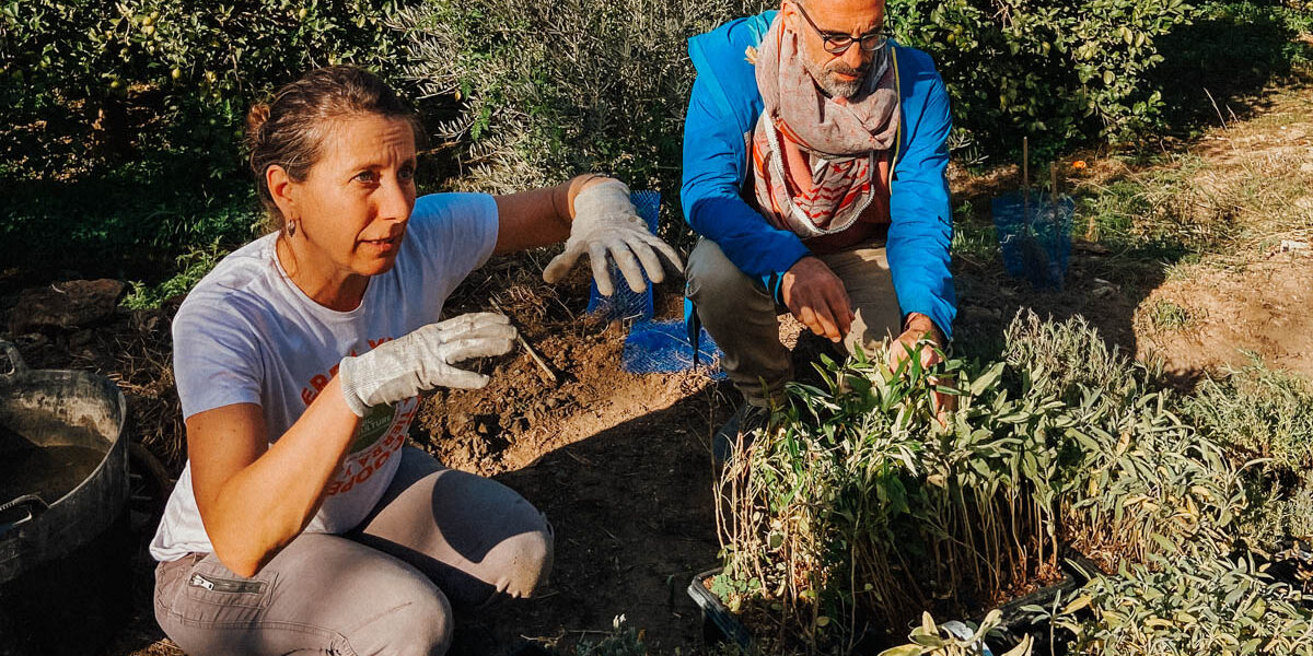 Crowdcontainer_Tyl_biodiversitatsprojekt-0013-Produktfotos-2
